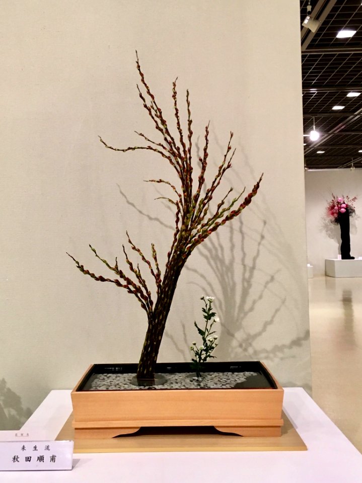 Nagoya Ikebana Art Exhibition Sakae Nov 2018 57