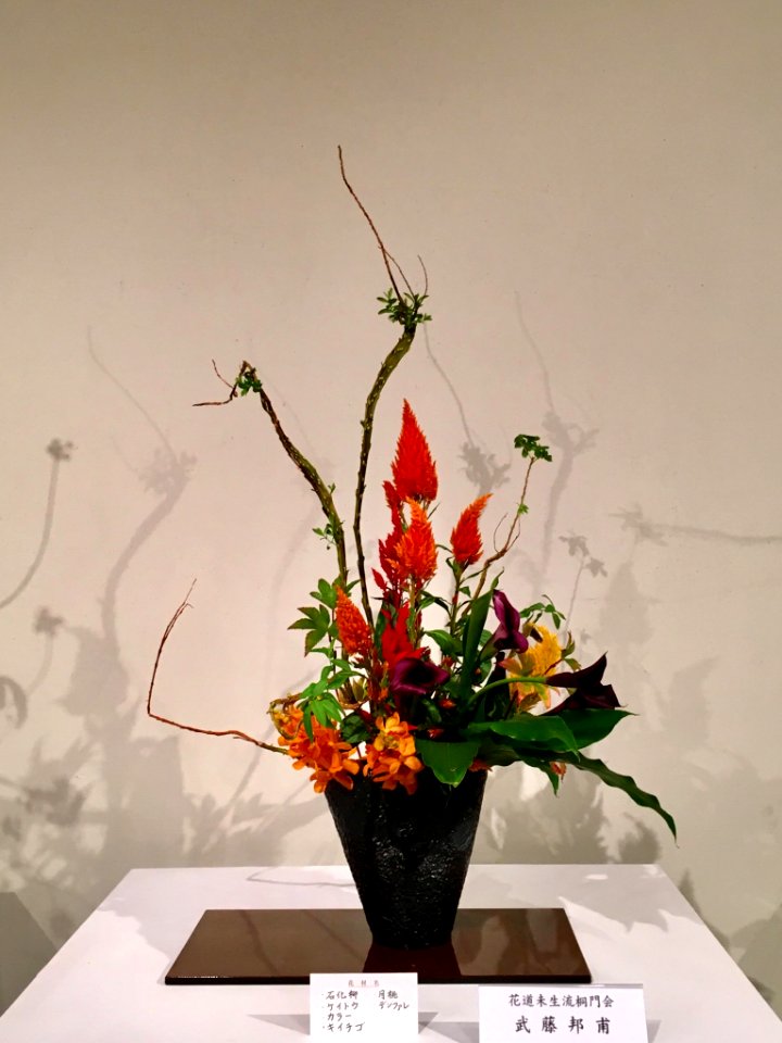 Nagoya Ikebana Art Exhibition Sakae Nov 2018 54