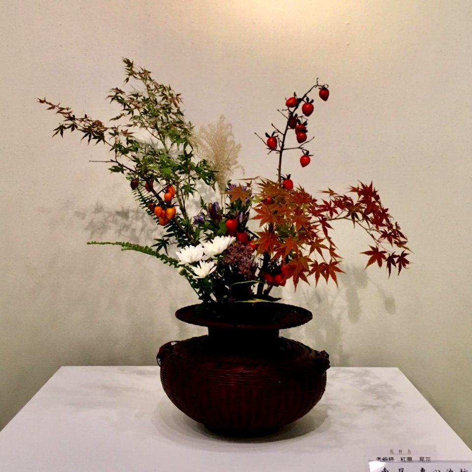 Nagoya Ikebana Art Exhibition Sakae Nov 2018 29