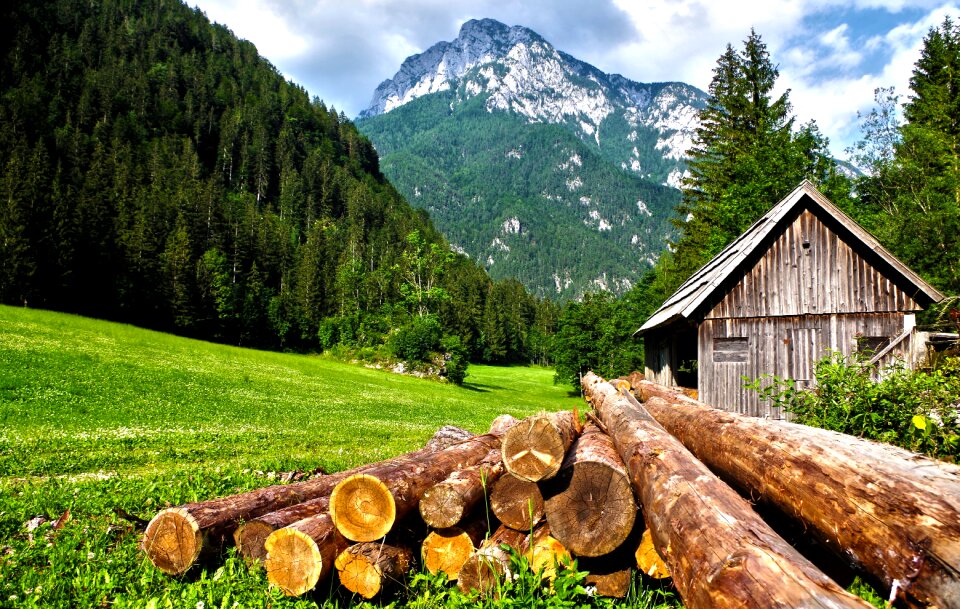 Gabonaőrlő wood forest