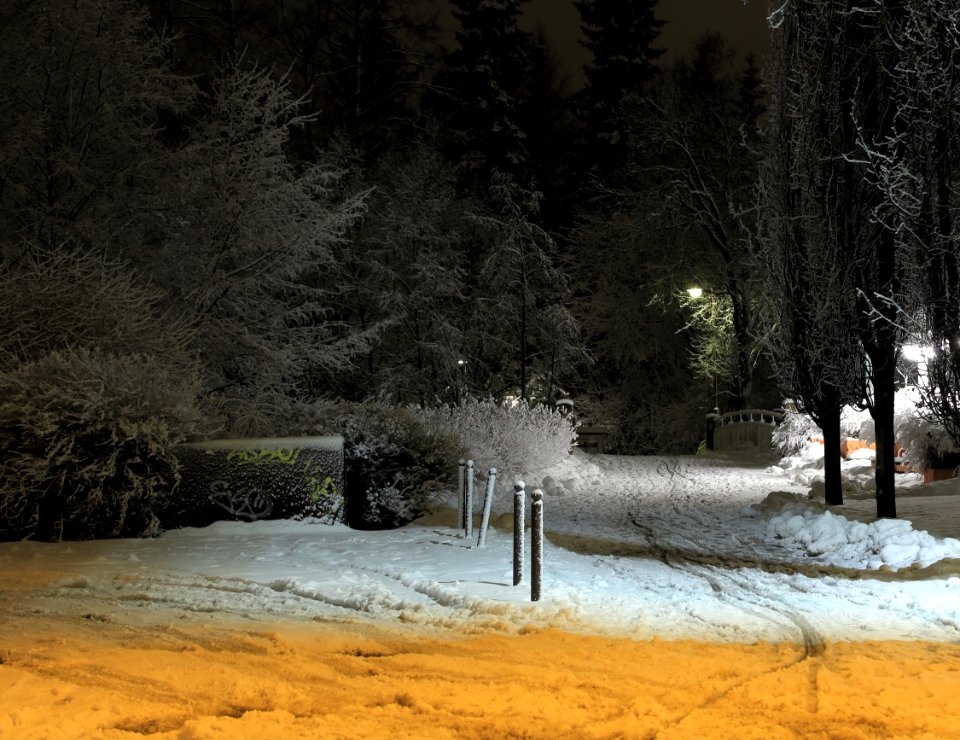 Nahkurinpuisto Oulu 20160212