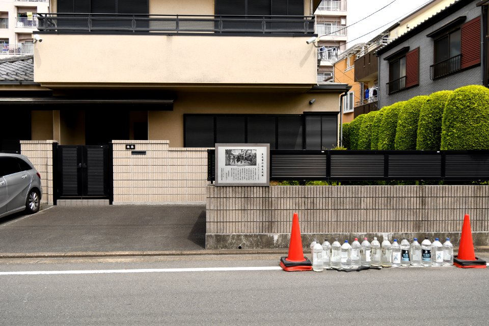 Namamugi Incident, gaikan-1