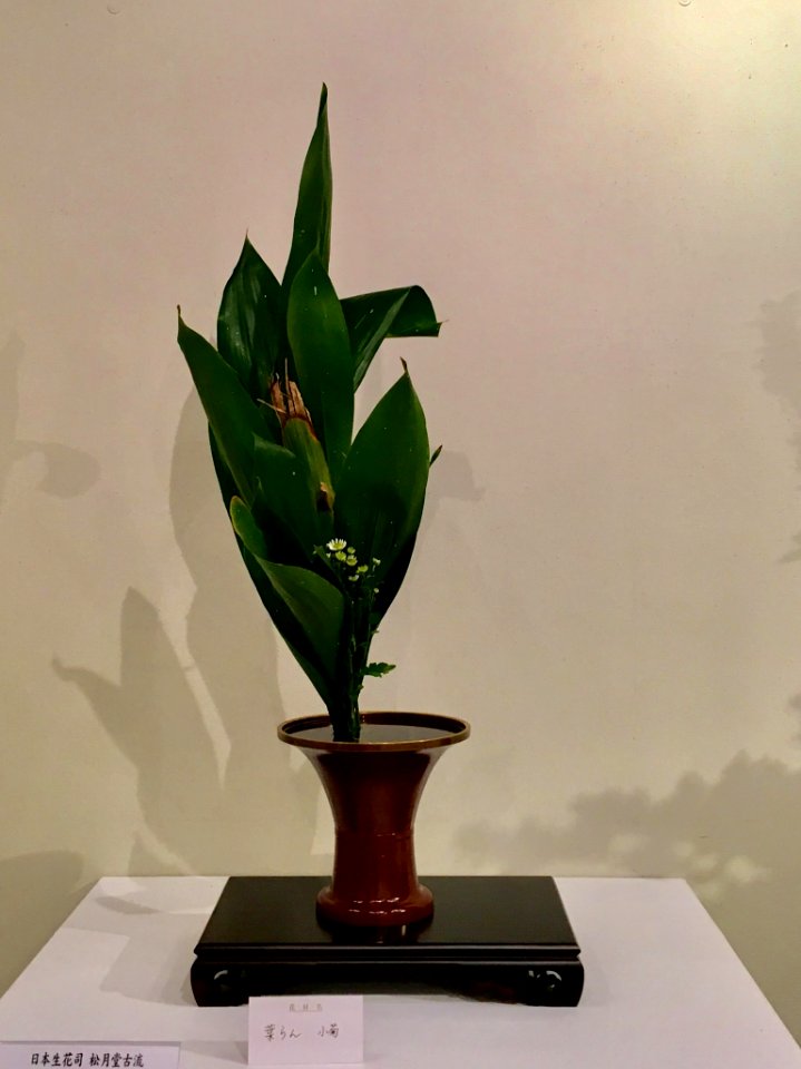 Nagoya Ikebana Art Exhibition Sakae Nov 2018 62