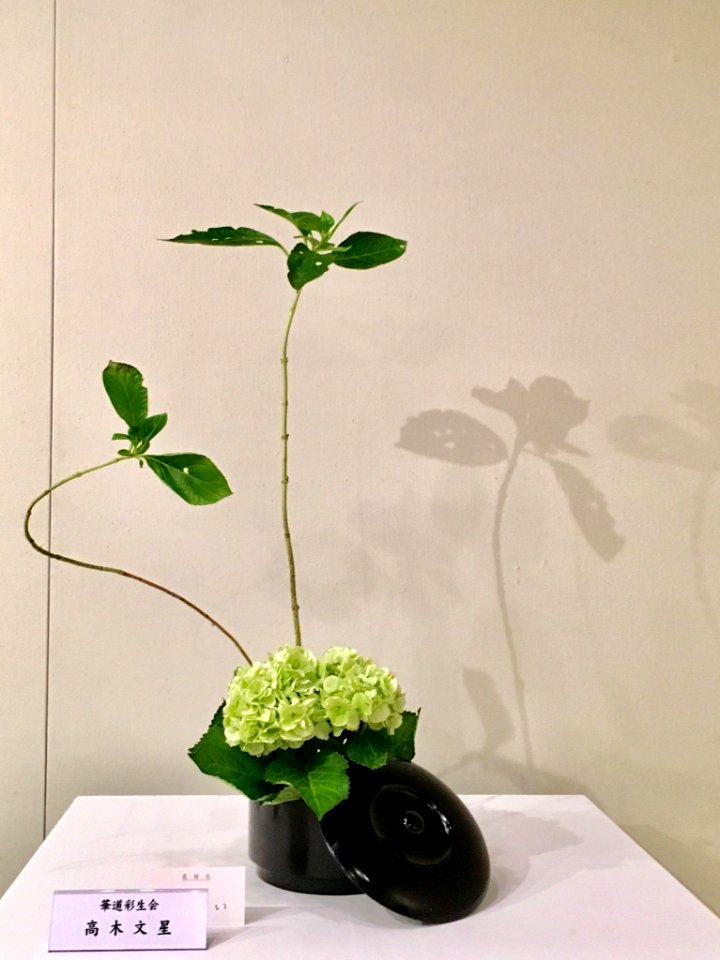 Nagoya Ikebana Art Exhibition Sakae Nov 2018 44
