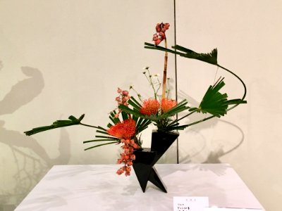 Nagoya Ikebana Art Exhibition Sakae Nov 2018 39