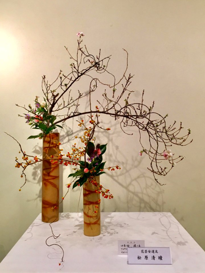 Nagoya Ikebana Art Exhibition Sakae Nov 2018 56