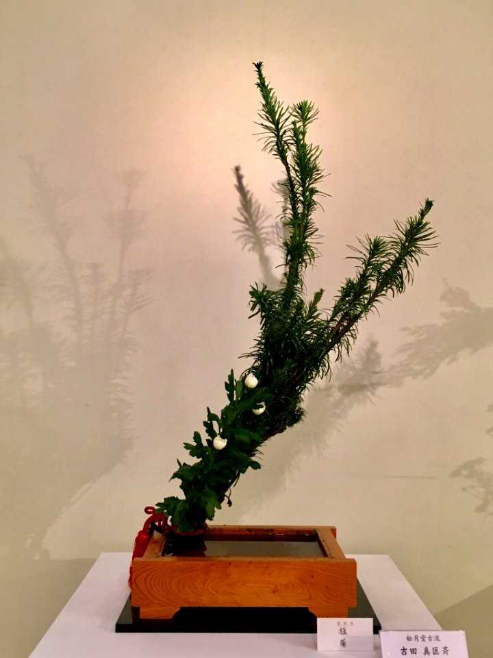 Nagoya Ikebana Art Exhibition Sakae Nov 2018 58