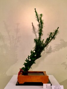 Nagoya Ikebana Art Exhibition Sakae Nov 2018 58
