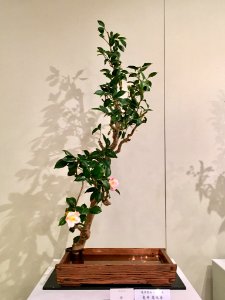 Nagoya Ikebana Art Exhibition Sakae Nov 2018 70