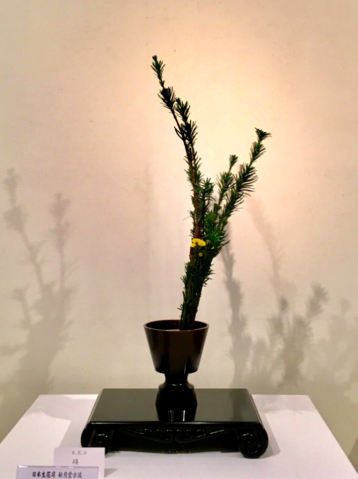 Nagoya Ikebana Art Exhibition Sakae Nov 2018 64