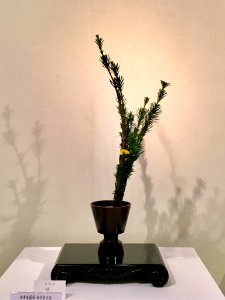 Nagoya Ikebana Art Exhibition Sakae Nov 2018 64