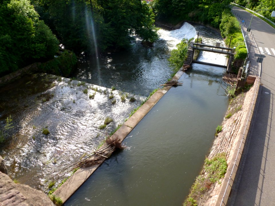 Nagold bei Dillweißenstein 01