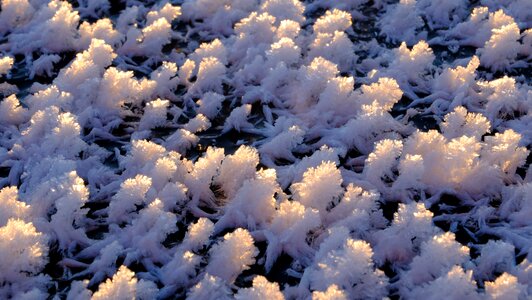 Ice crystal snow winter photo