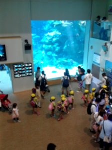 Nagoya Aquarium (9) photo