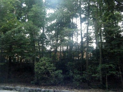 Naiku Ise Shrine 27