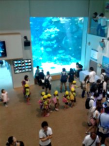 Nagoya Aquarium (8) photo