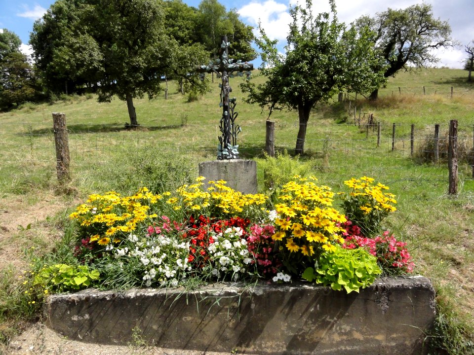 Naives-Rosières (Meuse) Rosières, croix de chemin fleurie