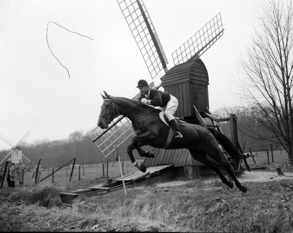 Nationaal kampioenschappen terreinrijden paarden te Arnhem, Bestanddeelnr 908-4530