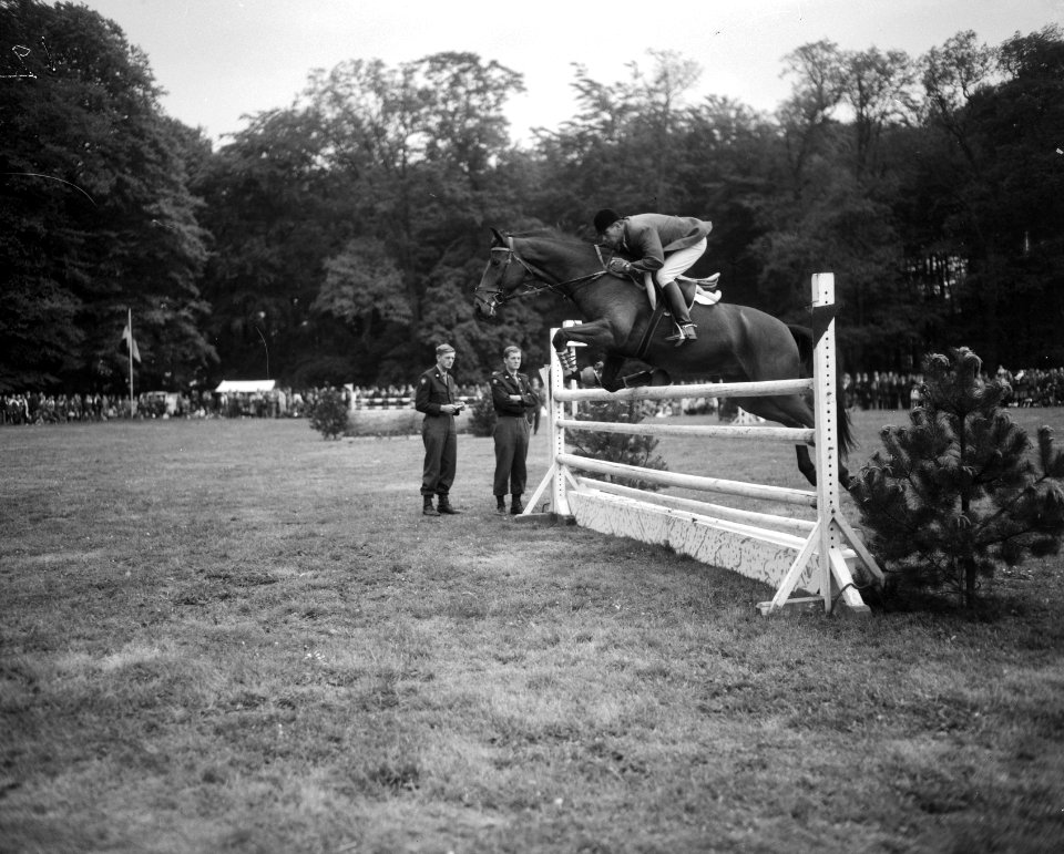 Nationaal Concours Hippique te Bennekom, Anton Ebben op Nabab, Bestanddeelnr 917-8196