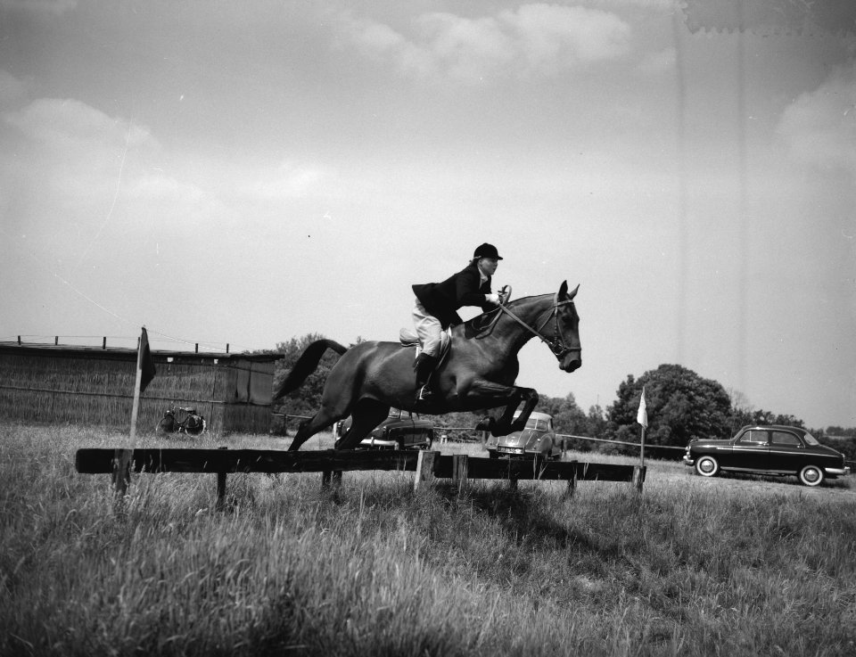Nationaal concours hippique in het Westbroekpark te Den Haag , prinses Beatrix i, Bestanddeelnr 909-6389