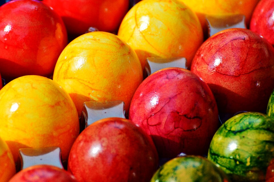 Happy easter egg colored