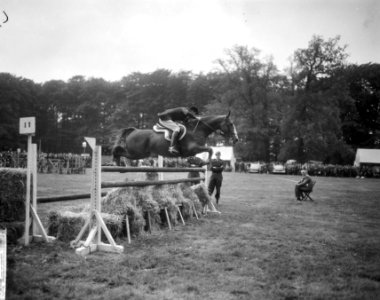 Nationaal Concours Hippique te Bennekom, T. R. Veldstra op Amarilla Good Luck, Bestanddeelnr 917-8190