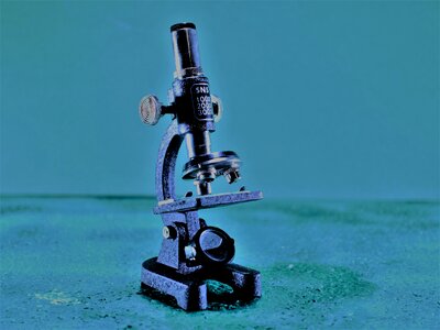 By looking doctor bacilli