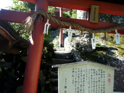 Natadera 6743