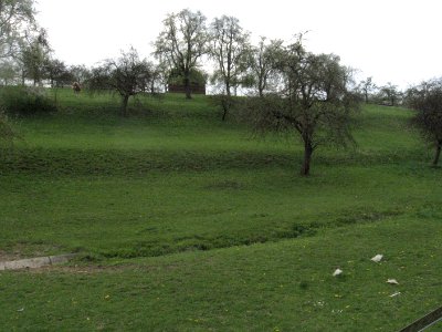 Natürliche Hangterrassen am unteren Schießbach bei Obersontheim