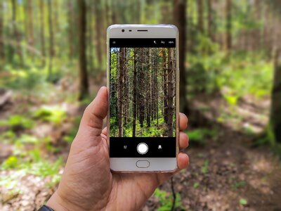 Forest camera mobile
