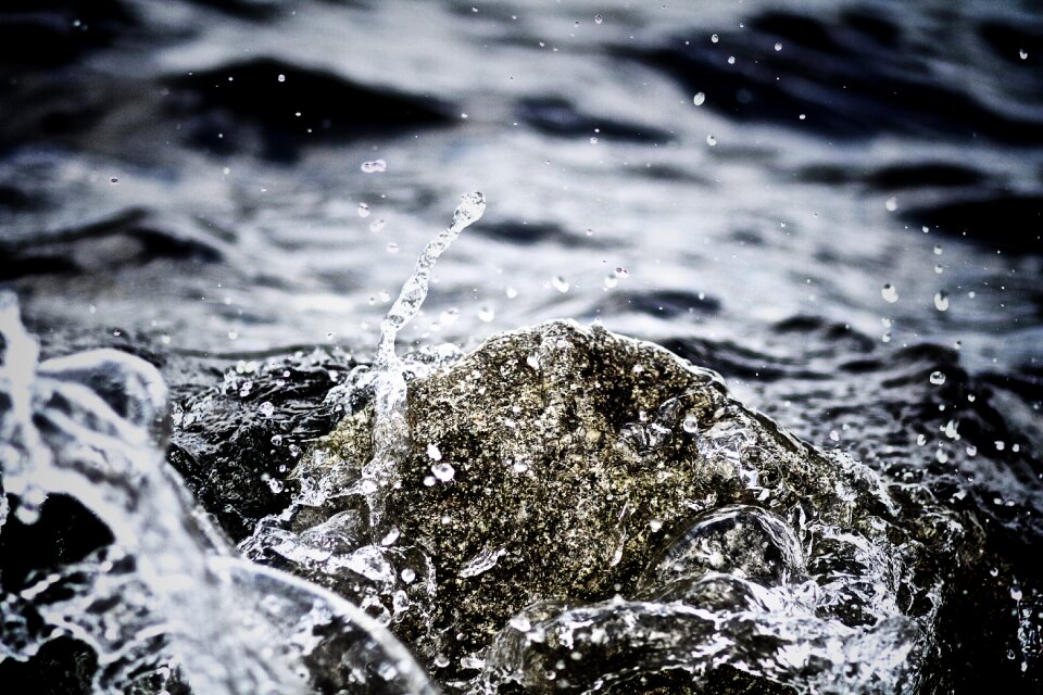 Macro monochrome motion