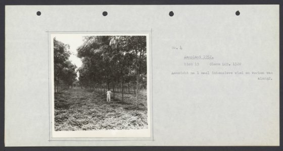 Nationaal Archief, Bestanddeelnr 833 07