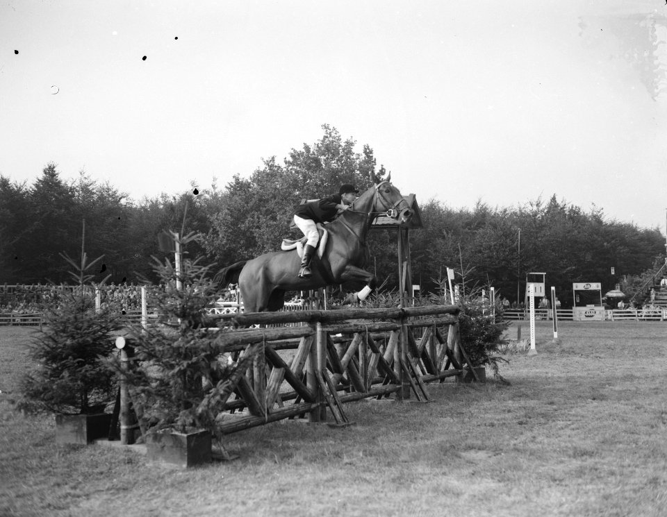 Nationaal Springconcours Rotterdam, Engelsman, Bestanddeelnr 907-3024