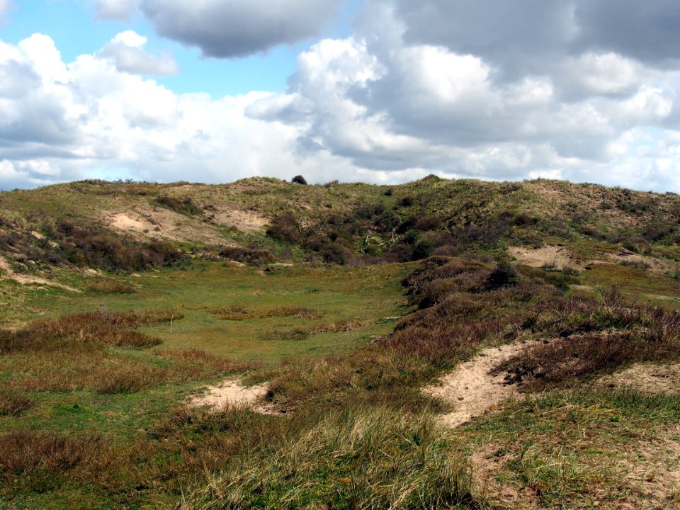Nationaal Park Zuid-Kennemerland pic6