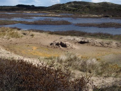 Nationaal Park Zuid-Kennemerland pic16