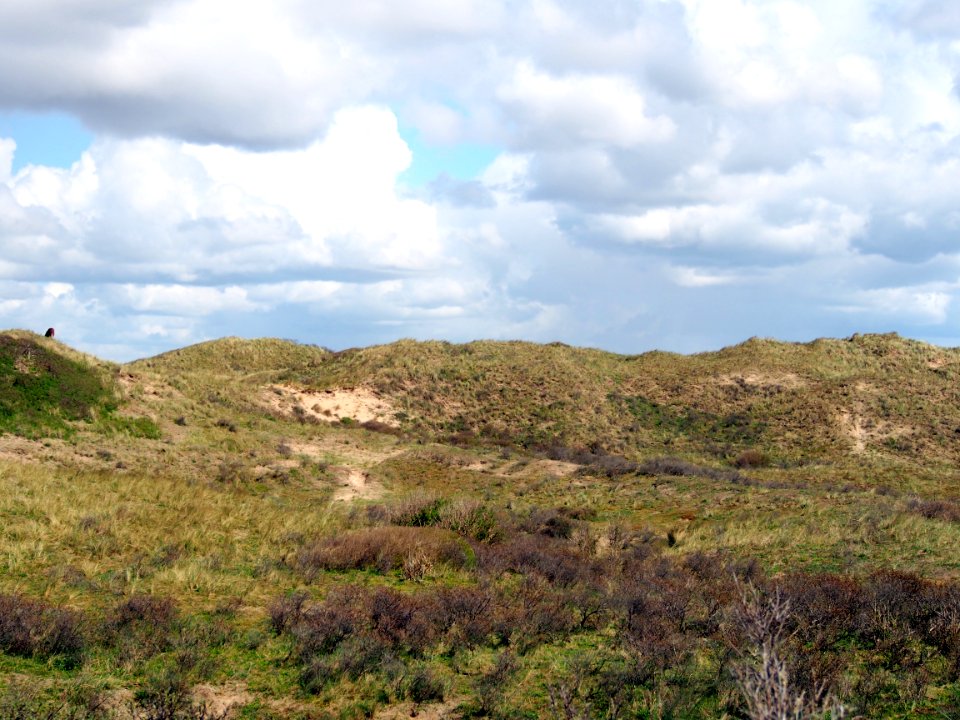 Nationaal Park Zuid-Kennemerland pic2