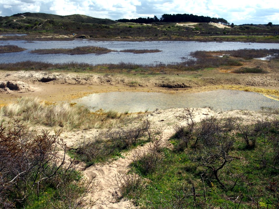 Nationaal Park Zuid-Kennemerland pic17