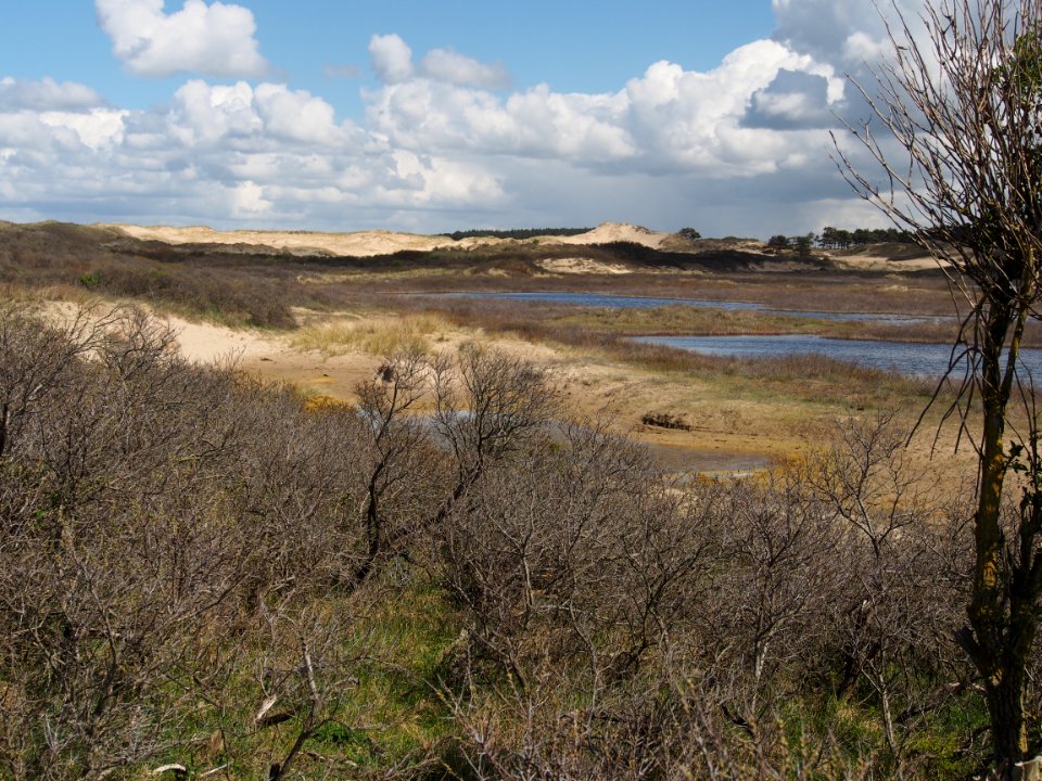 Nationaal Park Zuid-Kennemerland pic15