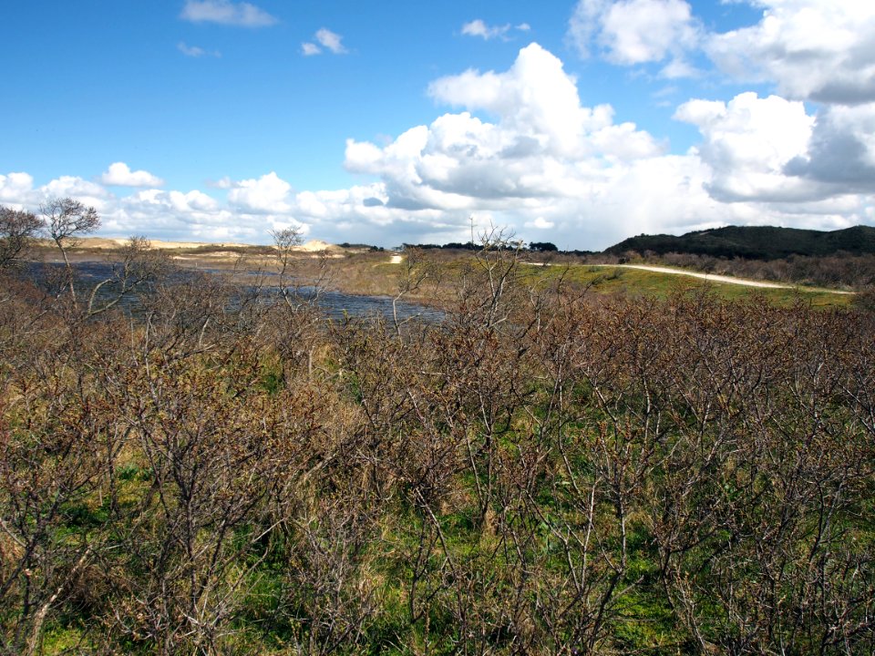 Nationaal Park Zuid-Kennemerland pic8