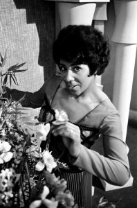 Nationaal Songfestival 1966, Milly Scott, Bestanddeelnr 918-7488