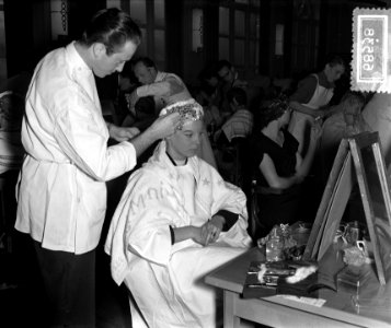Nationaal Kapconcours Artis Amsterdam, Bestanddeelnr 906-8538