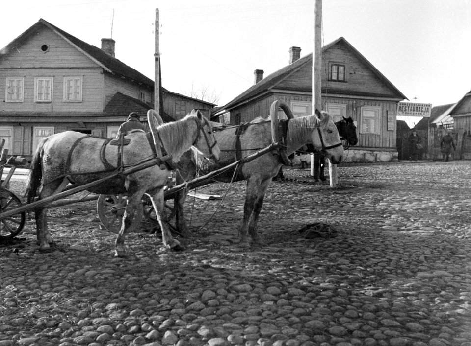 Novy Troky (Trakai). Twee paarden, elk voor een kar gespannen met op de achtergr, Bestanddeelnr 252-1343