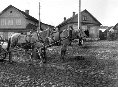 Novy Troky (Trakai). Twee paarden, elk voor een kar gespannen met op de achtergr, Bestanddeelnr 252-1343 photo