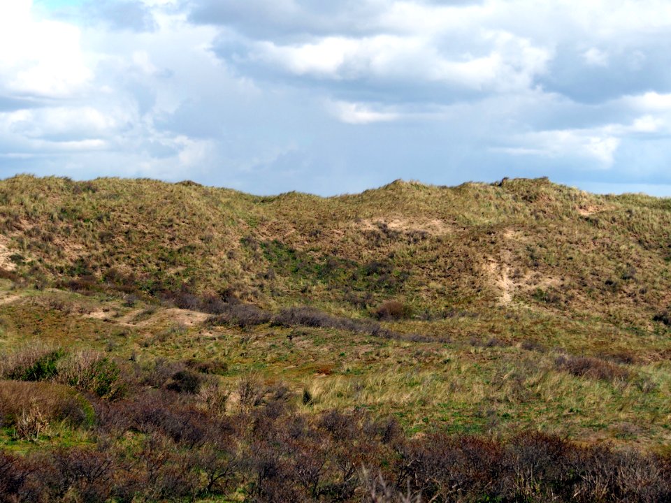 Nationaal Park Zuid-Kennemerland pic3