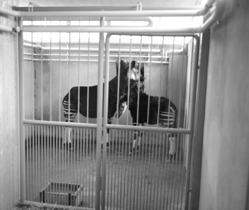 Nationaal Archief, Bestanddeelnr 912-0879