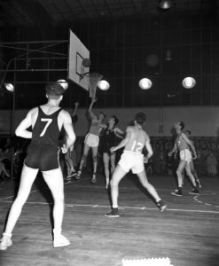 Nederland tegen Belgie, basketbal Apollohal, Bestanddeelnr 906-0590