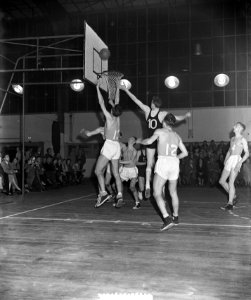 Nederland tegen Belgie, basketbal Apollohal, Bestanddeelnr 906-0589