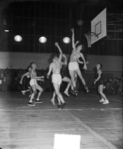 Nederland tegen Belgie, basketbal Apollohal, Bestanddeelnr 906-0592