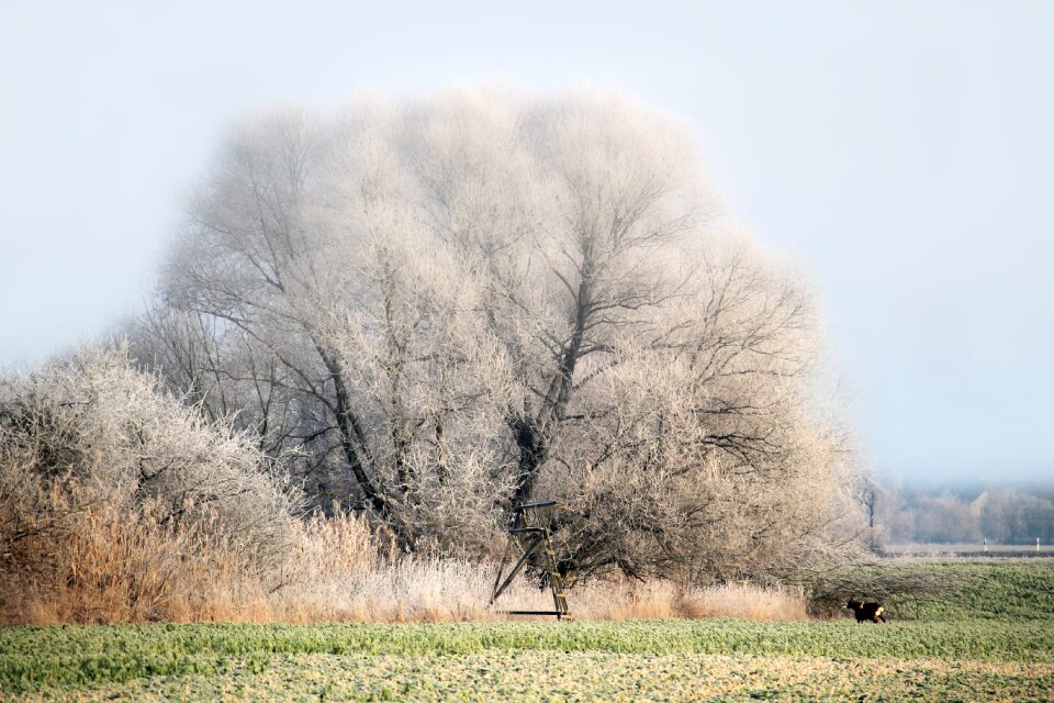 Snow cold ice fog