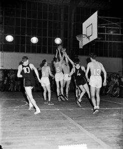 Nederland tegen Belgie, basketbal Apollohal, Bestanddeelnr 906-0591